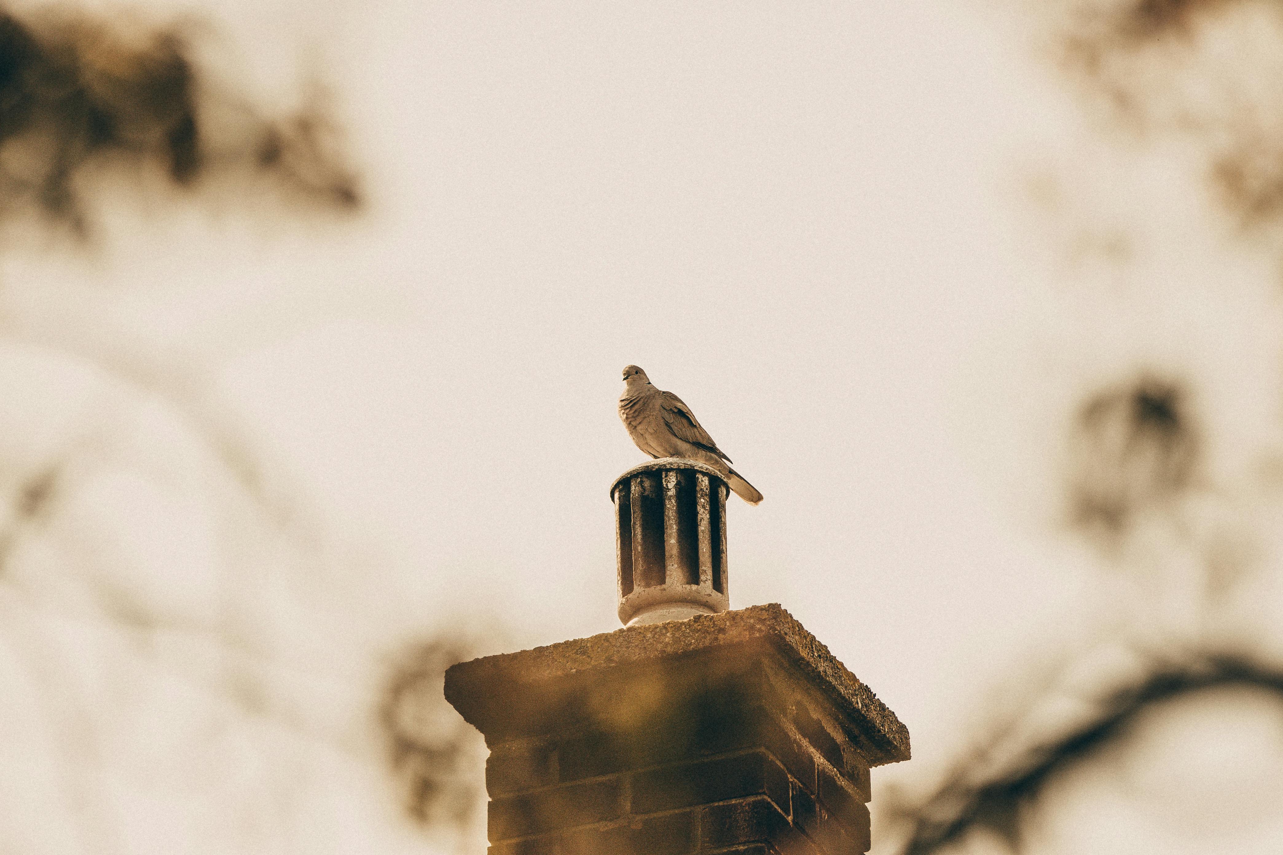 Quality Chimney Caps and Dampers Installation in Riva, MD Professional Chimney Cap and Damper In Riva Maryland